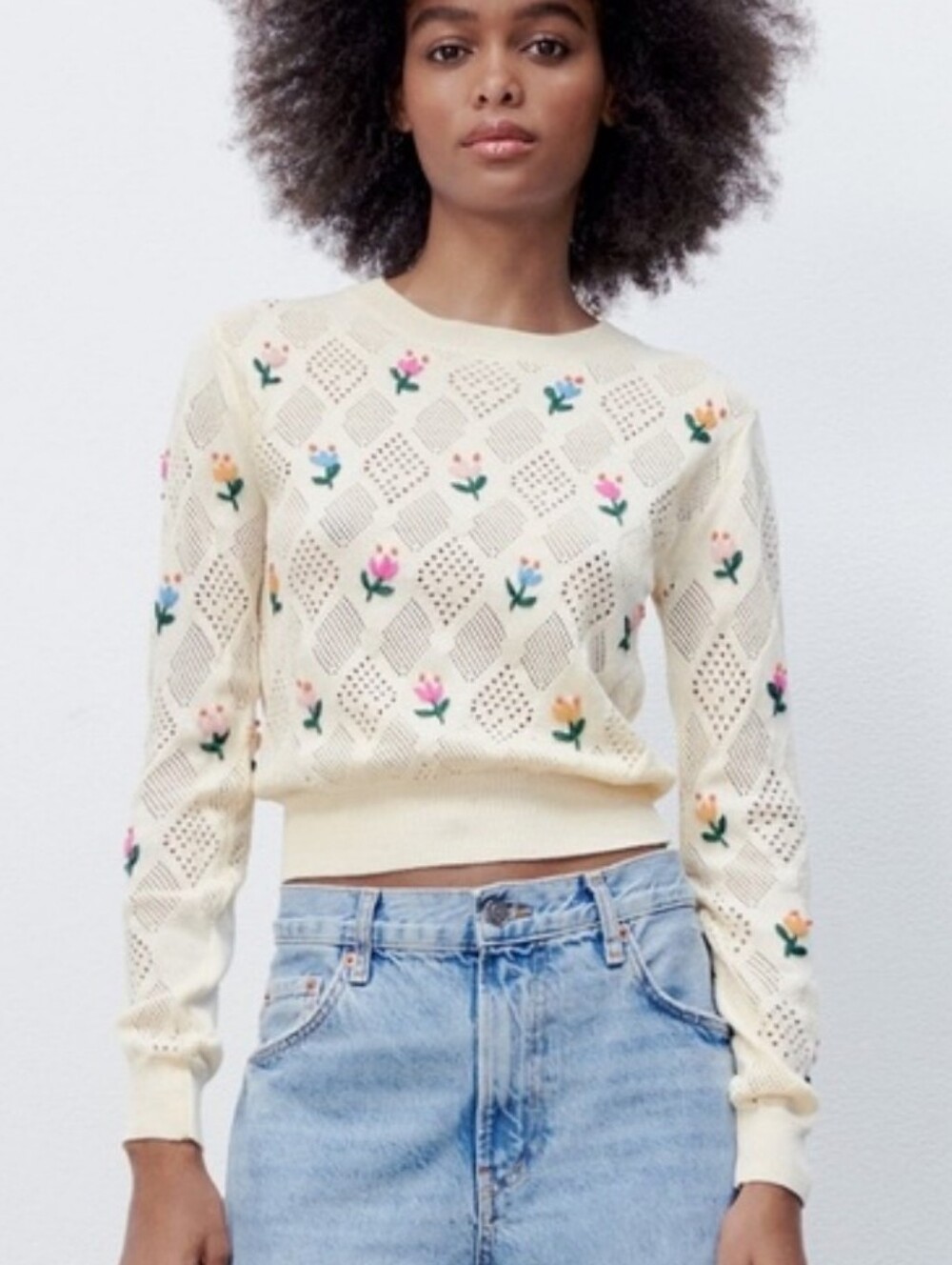 Zara Floral Embroidered Sweater Women's Size Medium Open Knit Pointelle
